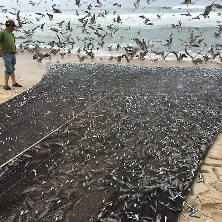 De Mira Appartement *