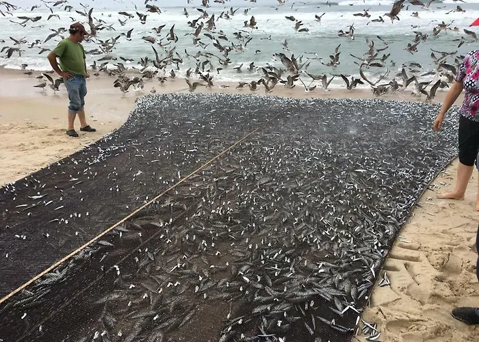 De Mira Apartamento *